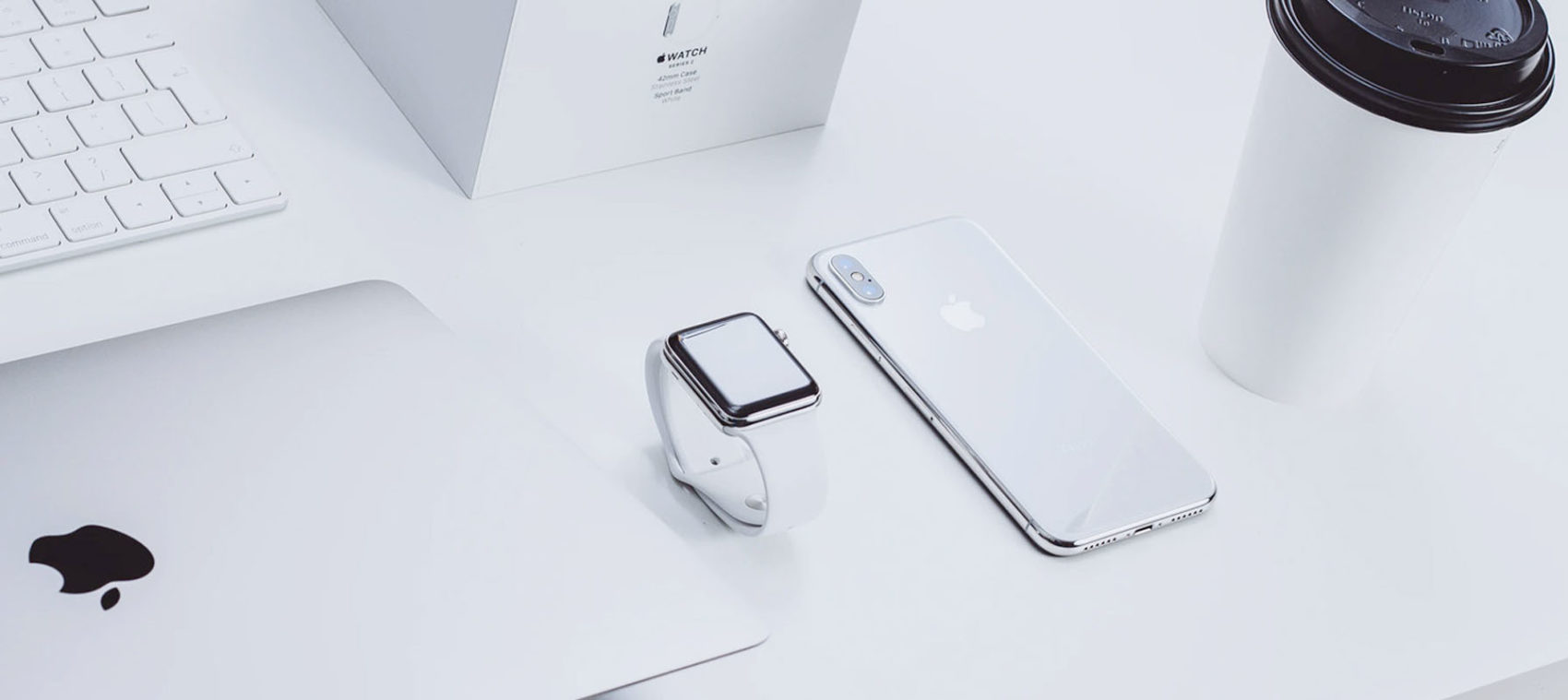 Case study featured image for Brandirectory