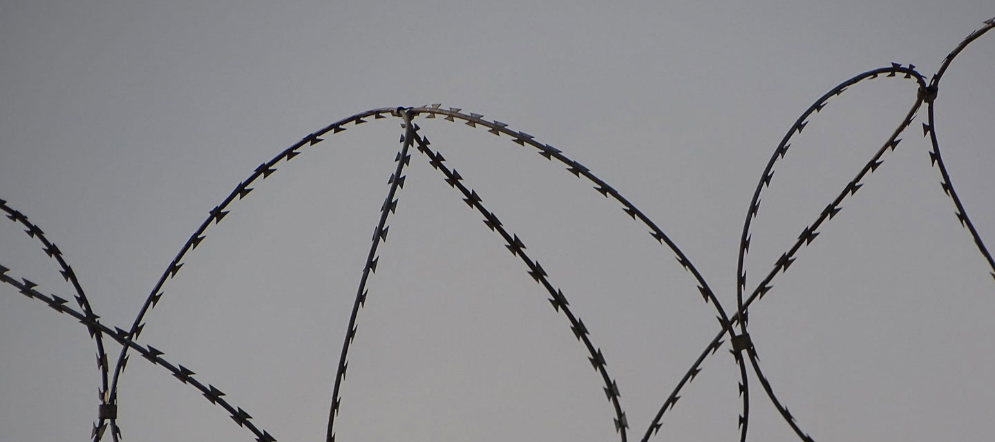 Case study featured image for Death Penalty Project