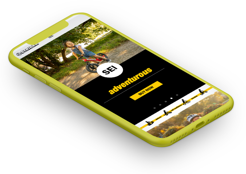Case study image for Strider Bikes PPC
